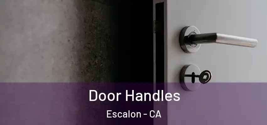  Door Handles Escalon - CA
