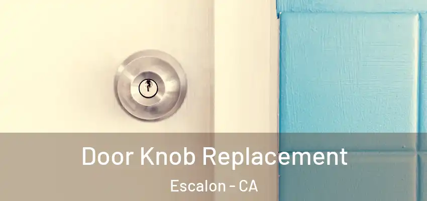  Door Knob Replacement Escalon - CA